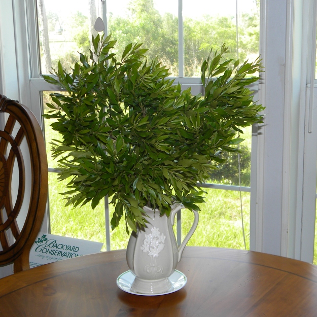 Glorious scents and thick greens make it a nice tabletop bouquet